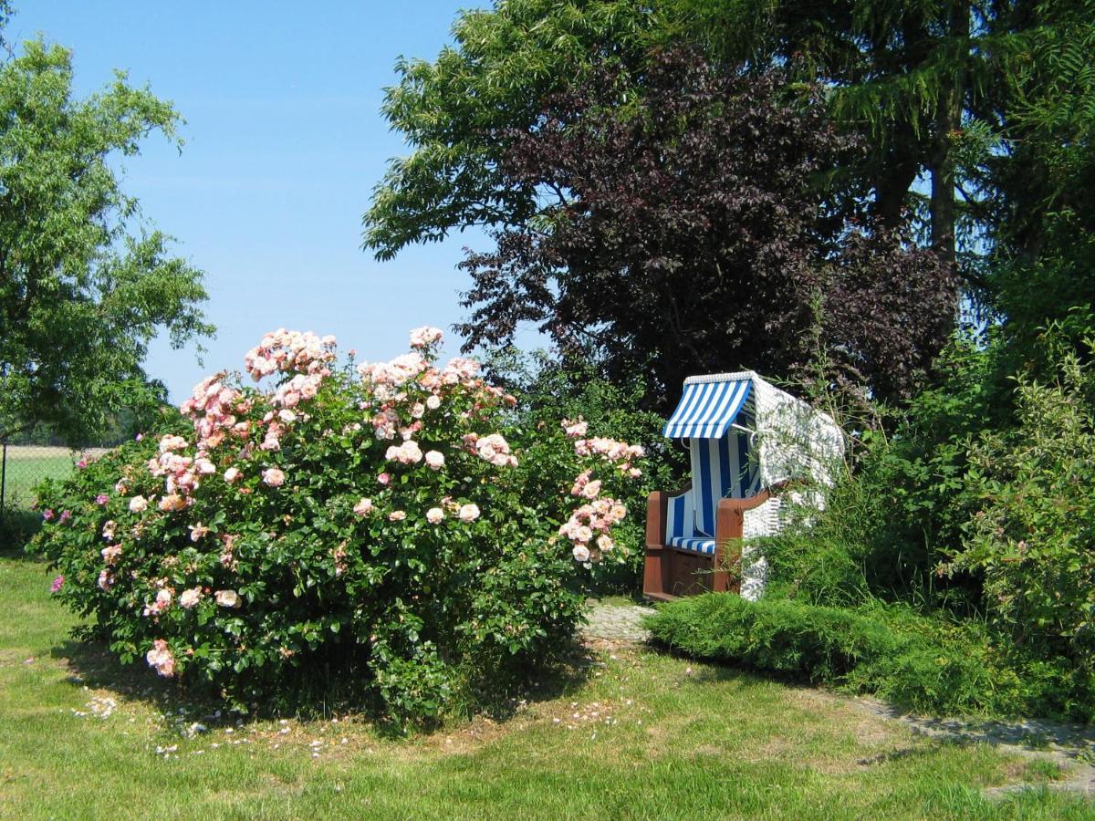 Zum Schwarzen Stiefel- Ferienwohnung Atelierhaus Rankwitz Exterior foto